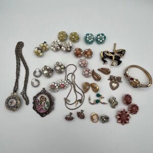 Vintage Costume Jewelry Lot – Clip-On Earrings, Brooches, Necklaces, Sarah Coven